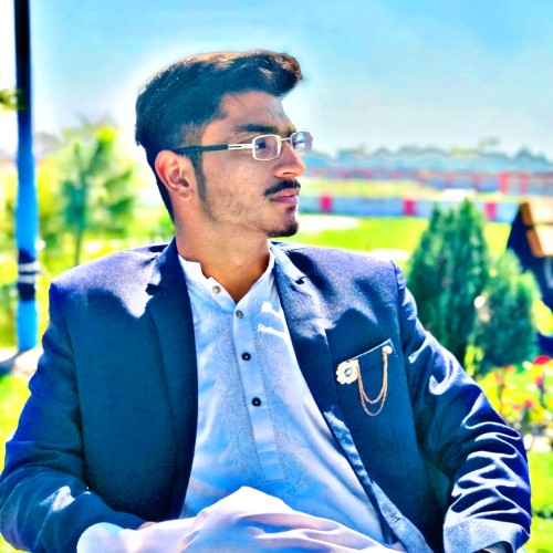Touqeer N.
