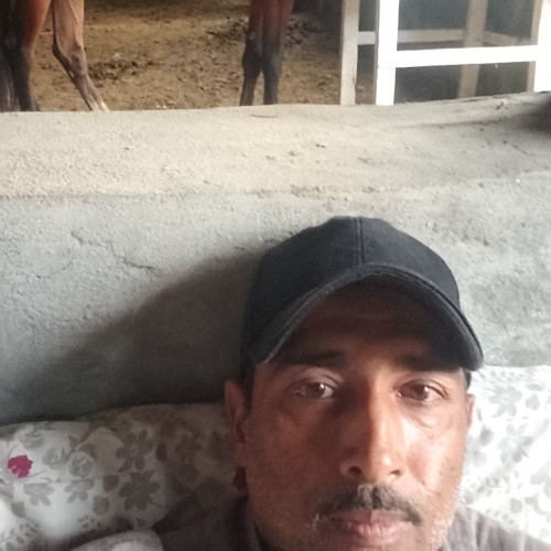 Malik S. profile photo