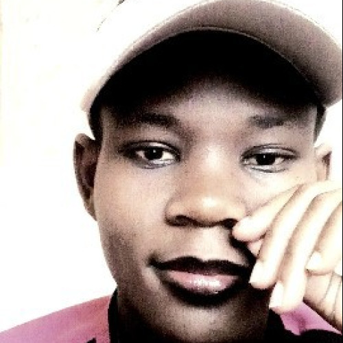 Dylan K. profile photo