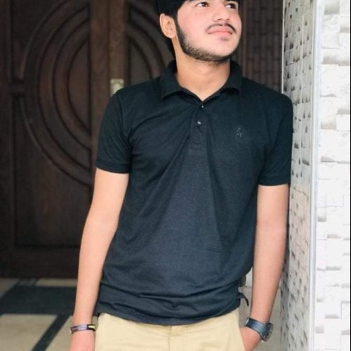 Husnain R.