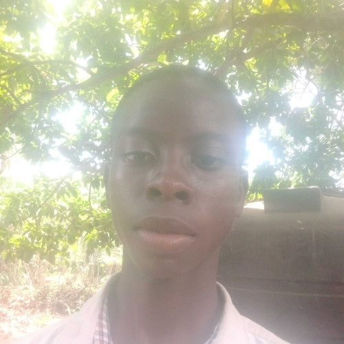 Godwin D. profile photo