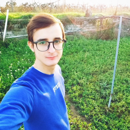 Caroi M. profile photo