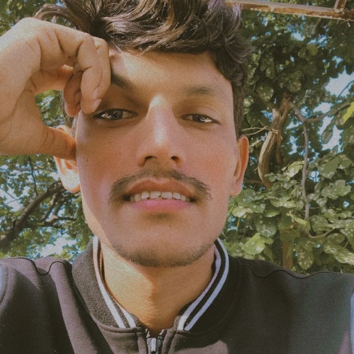 Parmar V. profile photo