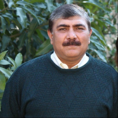 usman k.