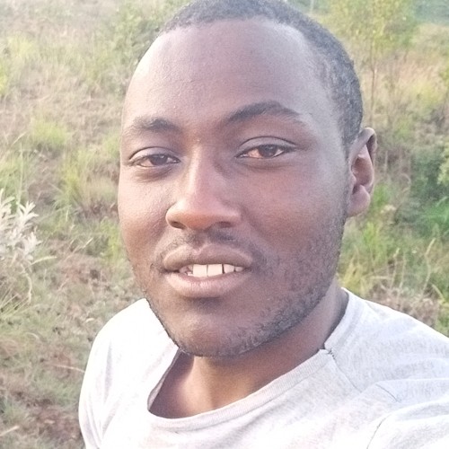 Kelvin  K.