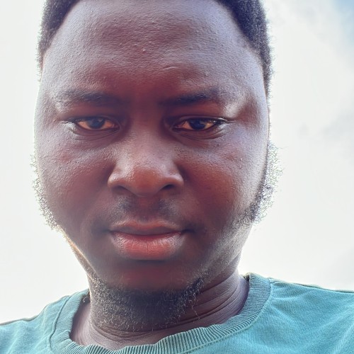 Adeoye O. profile photo