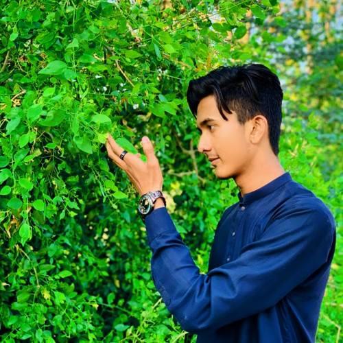 Faizan  Q.