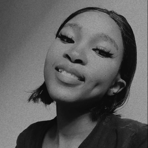 tshire l. profile photo