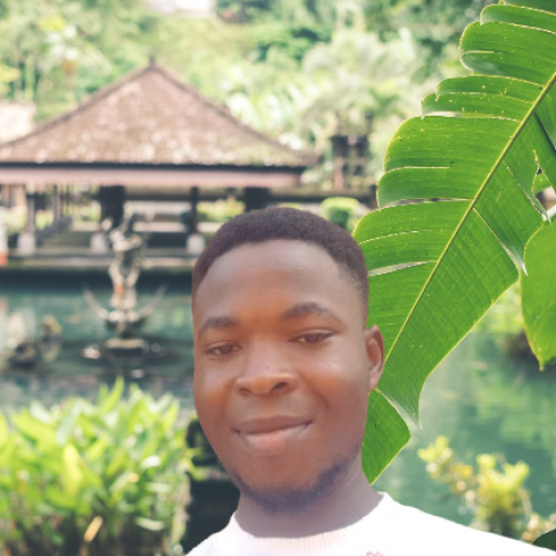 Tochukwu  A. profile photo