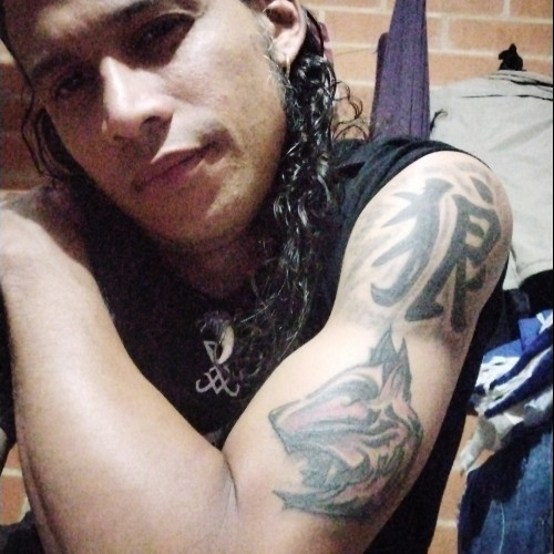 Stev D. profile photo