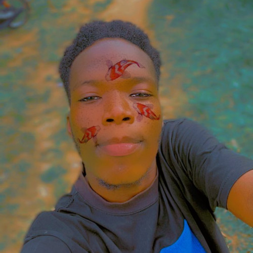 Adegoke  E. profile photo