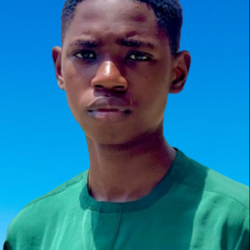 Emmanuel  A. profile photo