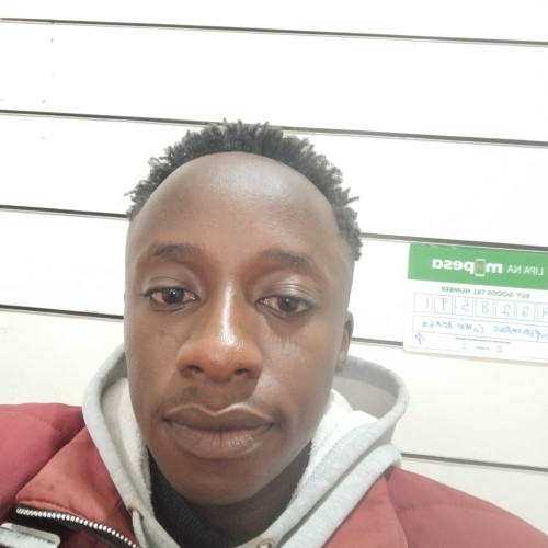 Max M. profile photo