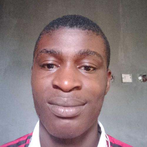 Nwosu A. profile photo