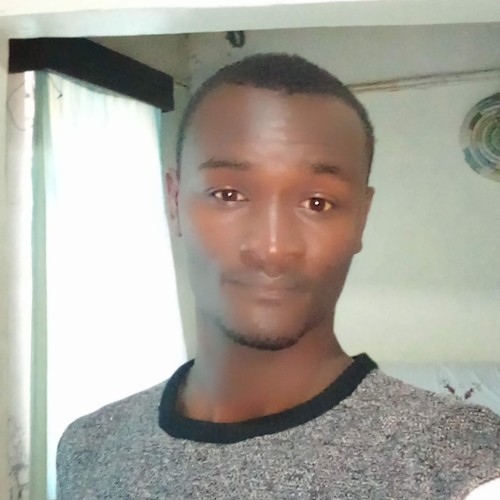 Peter  K. profile photo