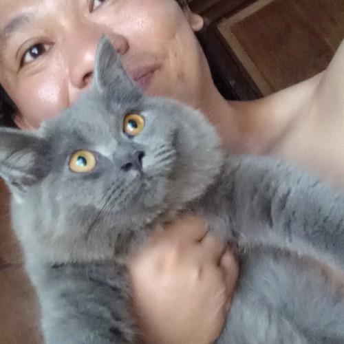 ray anthony a. profile photo