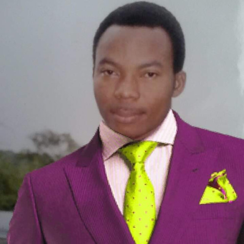 Babatunde  O. profile photo