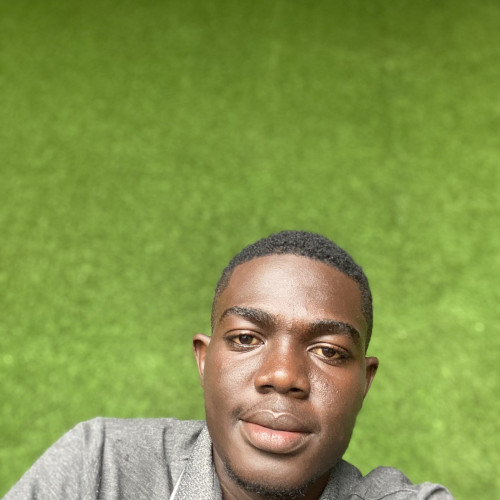 Bankole F. profile photo