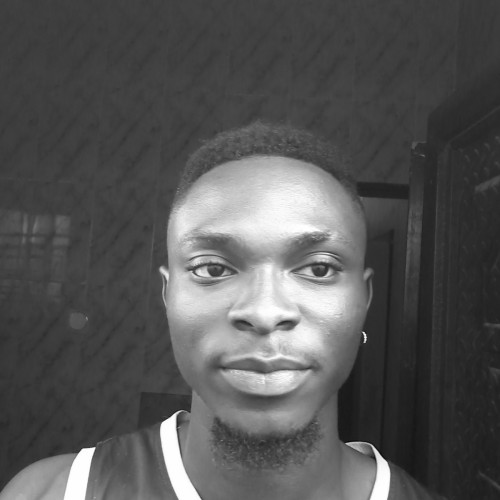 Daniel M. profile photo