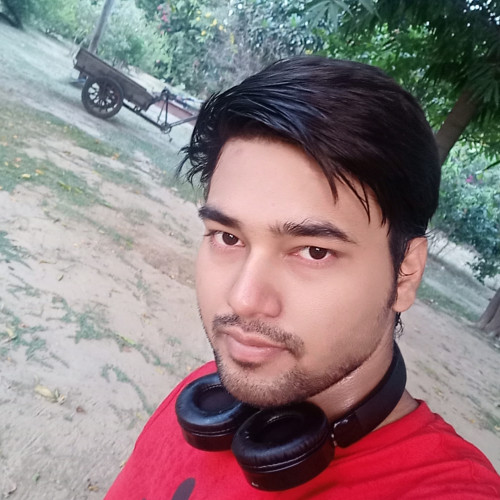 Abhishek P.
