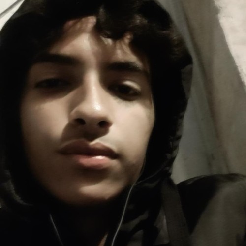 ali m. profile photo