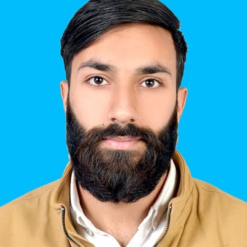 Hanzalla N.