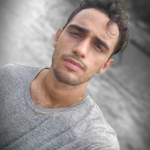 Dainel M. profile photo