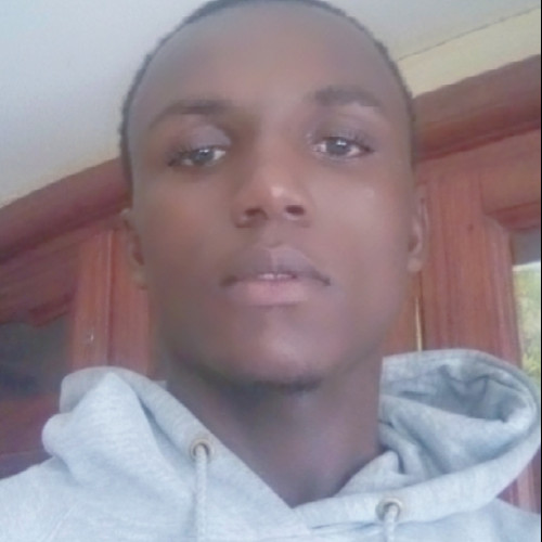 Dieuveille M. profile photo