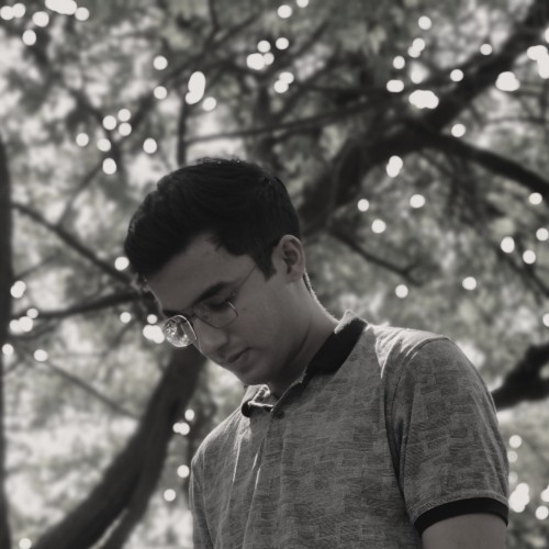 Ansh K. profile photo