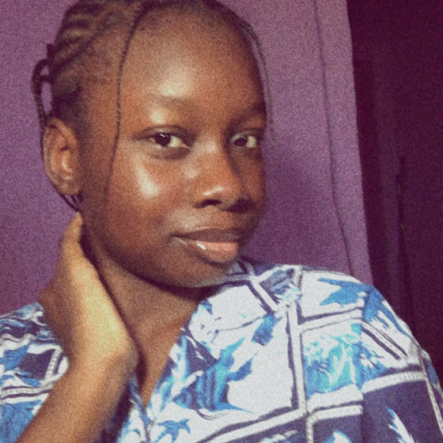 Toluwanimi  A. profile photo