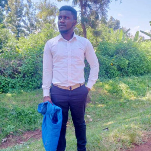 Francis N. profile photo