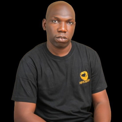 Daniel P. profile photo