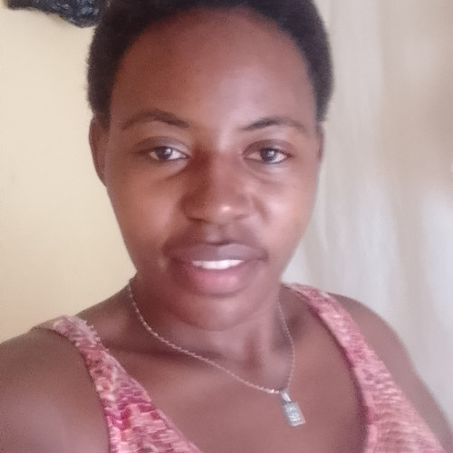 Noel  M. profile photo