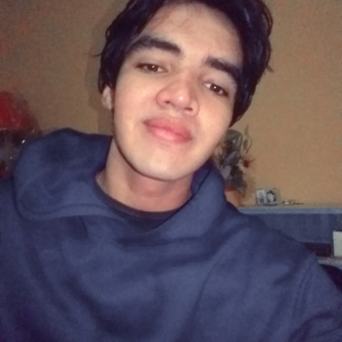 Luis L. profile photo