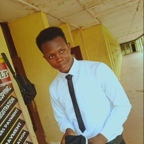 Nmesoma  L. profile photo