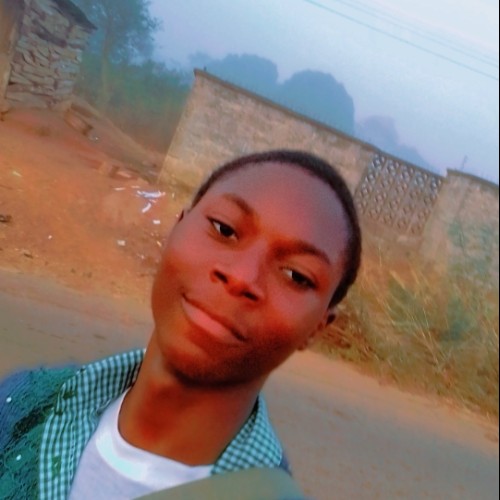 David  T. profile photo