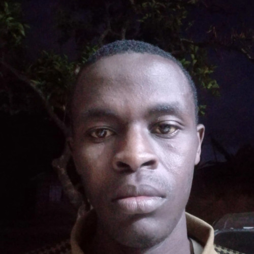 Hassan M. profile photo