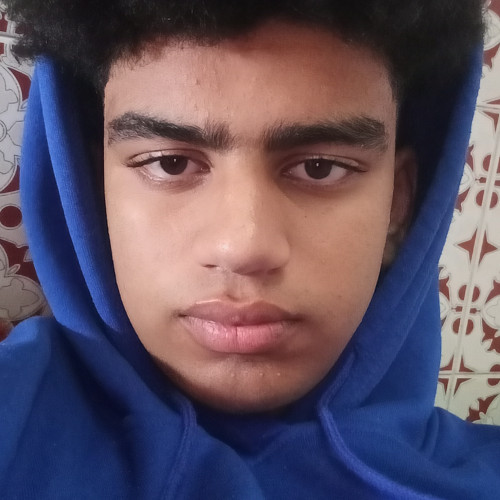 Mohamed E. profile photo
