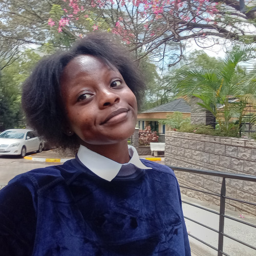Stacy S. profile photo