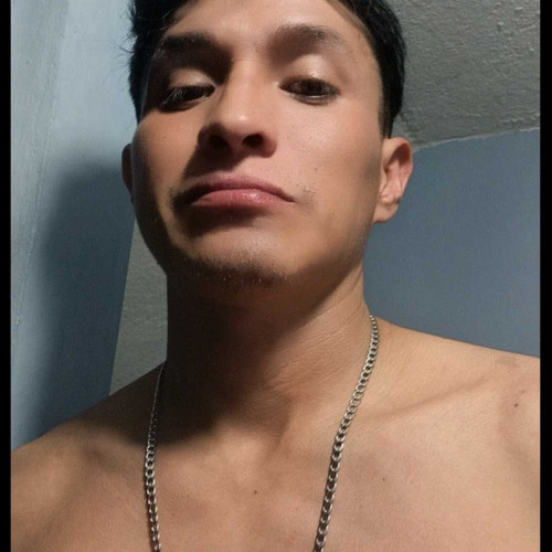 Pedro Z. profile photo