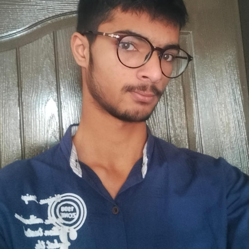 Ameer Ali A.