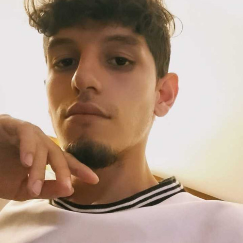 Sebas N. profile photo