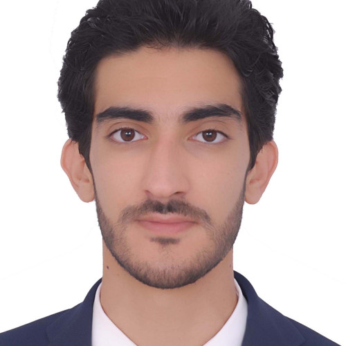 Mehdi C.