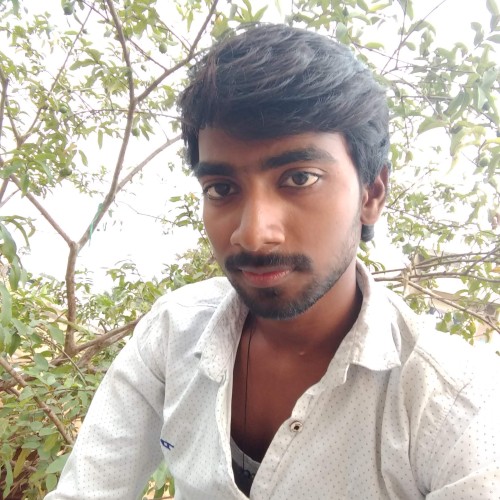 Ashok K. profile photo
