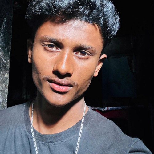 Martin N. profile photo