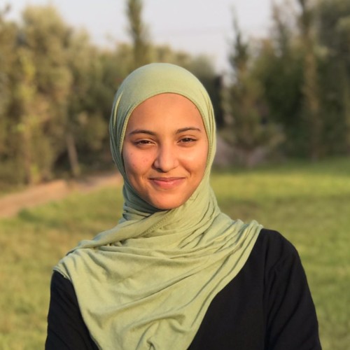 Marwa A.