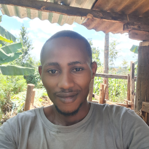 Francis N. profile photo