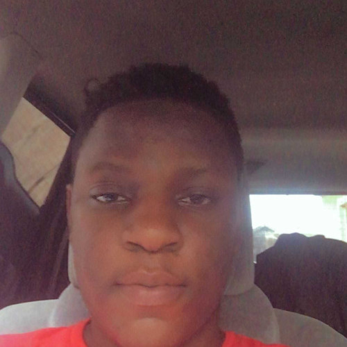 Olawale O. profile photo