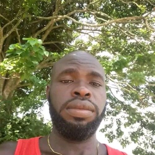 Chris J. profile photo