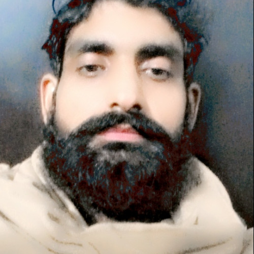 Muhammad  U. profile photo